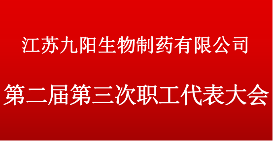 公司第二届第三次职工代表大会顺利召开